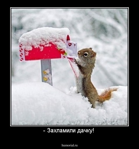 - Захламили дачку! 