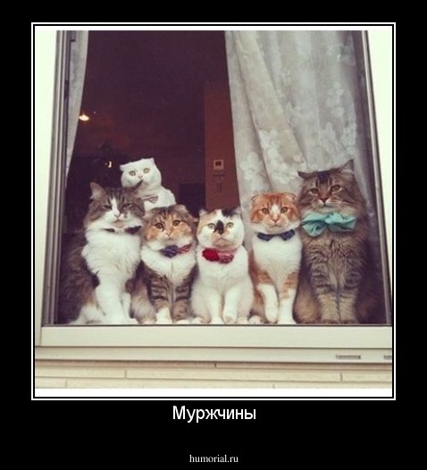 Муржчины