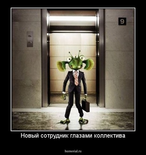 Новый сотрудник глазами коллектива