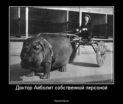 Доктор Айболит собственной персоной