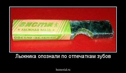 Лыжника опознали по отпечаткам зубов