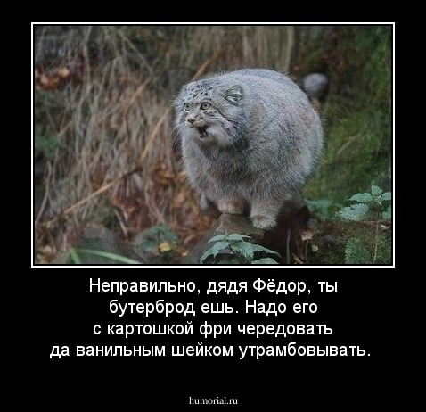Неправильно, дядя Фёдор, ты бутерброд ешь.  Надо его с картошкой фри чередовать да ванильным шейком утрамбовывать.