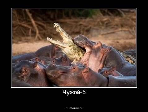Чужой-5
