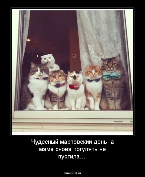 Чудесный мартовский день, а мама снова погулять не пустила...