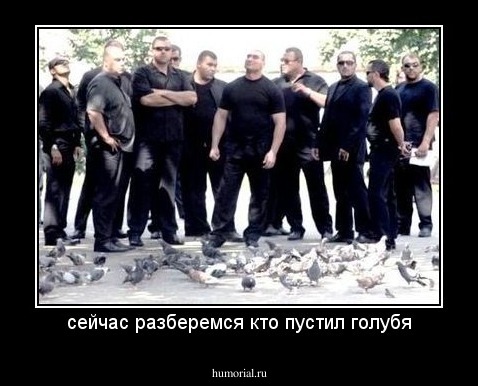 сейчас разберемся кто пустил голубя