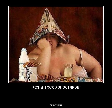 жена трех холостяков
