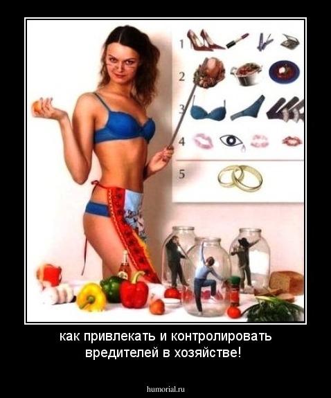 как привлекать и контролировать вредителей в хозяйстве!