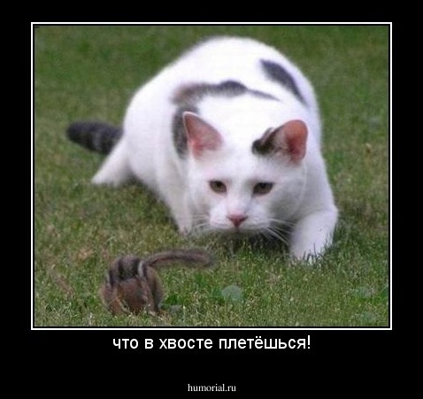 что в хвосте плетёшься!