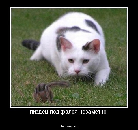 пиздец подкрался незаметно 