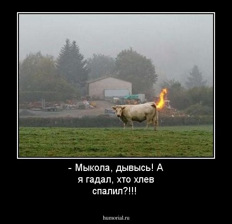  - Мыкола, дывысь! А я гадал, хто хлев спалил?!!! 