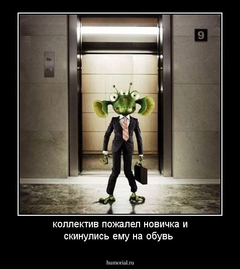 коллектив пожалел новичка и скинулись ему на обувь 
