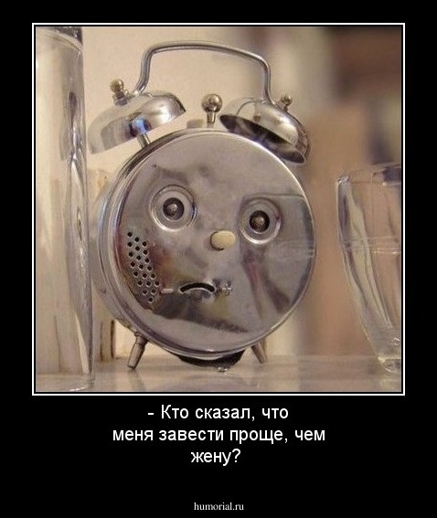 - Кто сказал, что меня завести проще, чем жену?