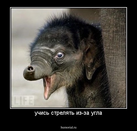 учись стрелять из-за угла