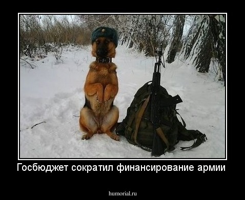 Госбюджет сократил финансирование армии 