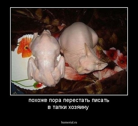 похоже пора перестать писать в тапки хозяину 