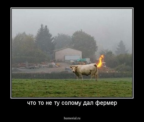 что то не ту солому дал фермер