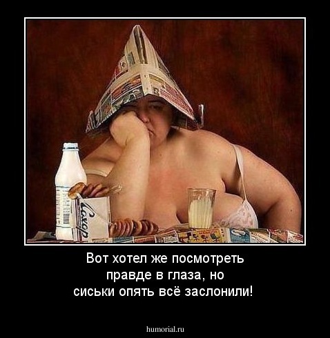 Вот хотел же посмотреть правде в глаза, но сиськи опять всё заслонили!
