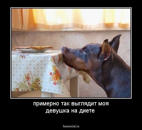 примерно так выглядит моя девушка на диете 