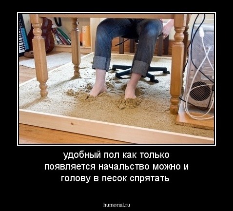 удобный пол как только появляется начальство можно и голову в песок спрятать 
