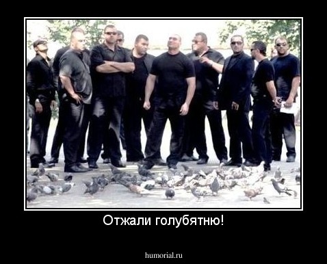 Отжали голубятню!