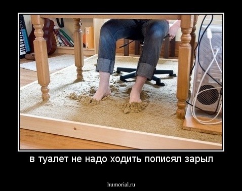 в туалет не надо ходить пописял зарыл