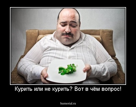 Курить или не курить? Вот в чём вопрос!