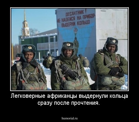 Легковерные африканцы выдернули кольца сразу после прочтения.