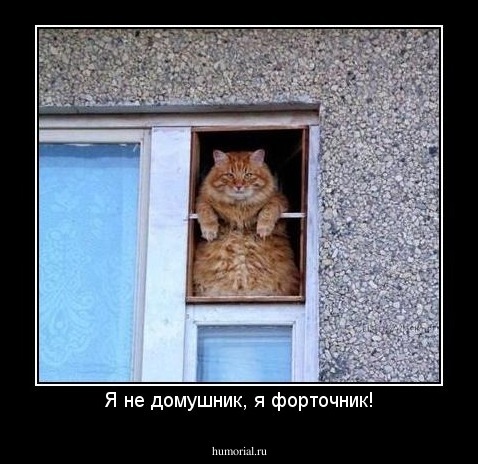 Я не домушник, я форточник!