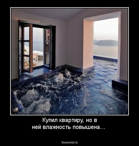 Купил квартиру, но в ней влажность повышена...