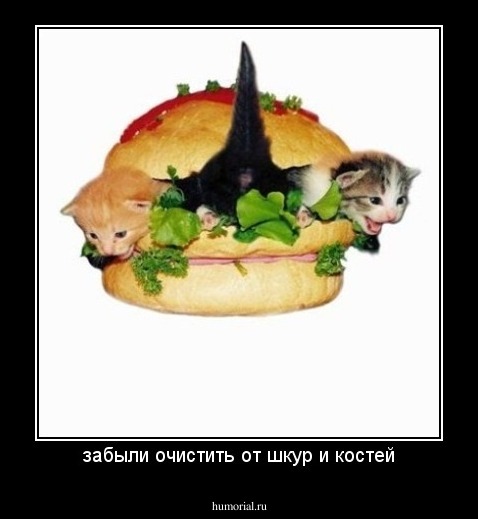забыли очистить от шкур и костей