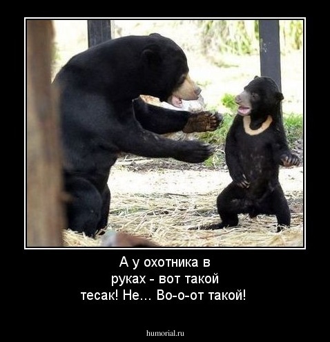 А у охотника в руках - вот такой тесак! Не... Во-о-от такой!