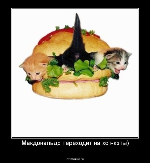 Макдональдс переходит на хот-кэты)