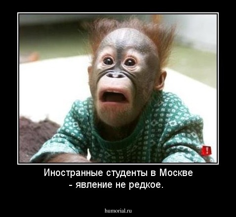 Иностранные студенты в Москве - явление не редкое.