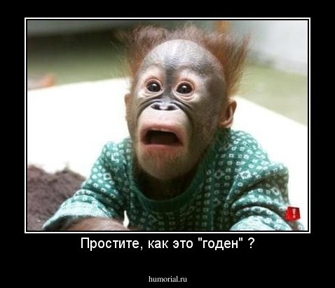 Простите, как это "годен" ?