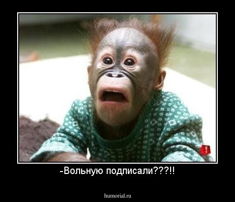 -Вольную подписали???!!