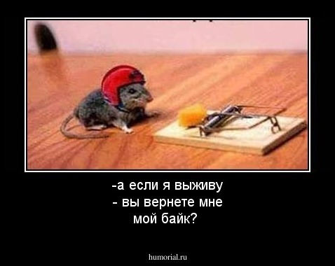 -а если я выживу - вы вернете мне мой байк?