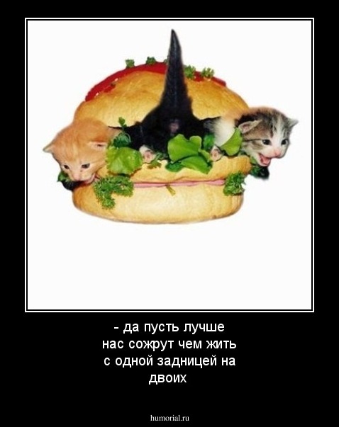 - да пусть лучше нас сожрут чем жить с одной задницей на двоих