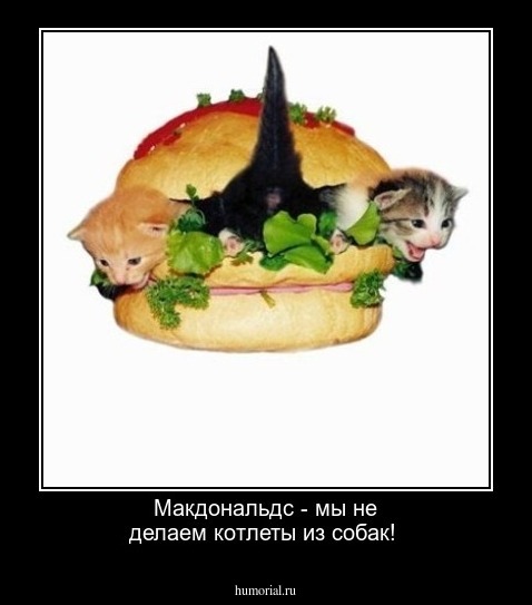 Макдональдс - мы не делаем котлеты из собак!