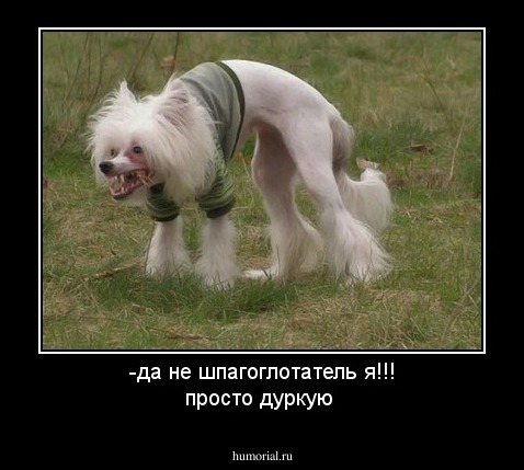 -да не шпагоглотатель я!!! просто дуркую