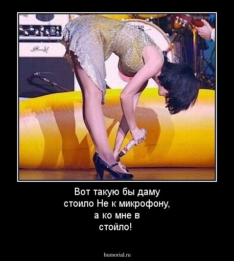 Вот такую бы даму стоило
Не к микрофону, а ко мне в стойло!