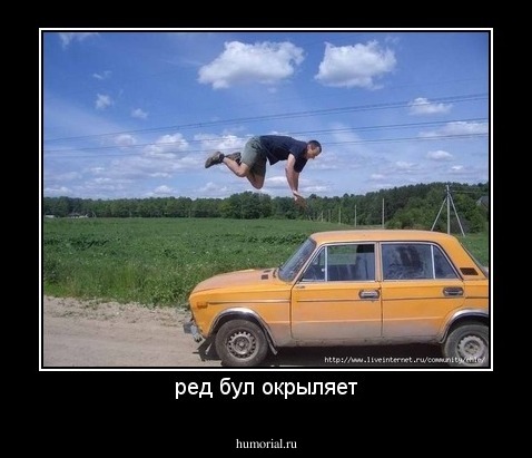 ред бул окрыляет