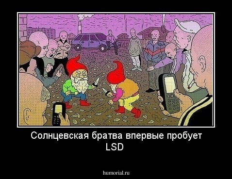 Солнцевская братва впервые пробует LSD