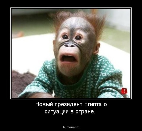 Новый президент Египта  о ситуации в стране.