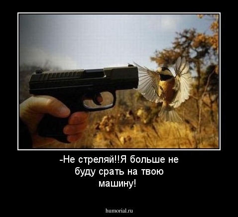 -Не стреляй!!Я больше не буду срать на твою машину!
