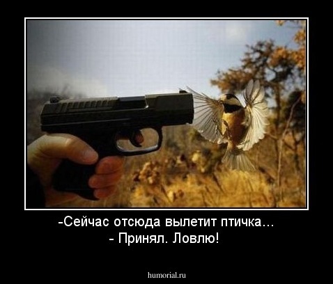 -Сейчас отсюда вылетит птичка... -  Принял. Ловлю!