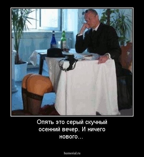 Опять это серый скучный осенний вечер. И ничего нового...