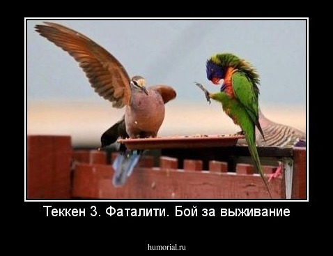 Теккен 3. Фаталити. Бой за выживание