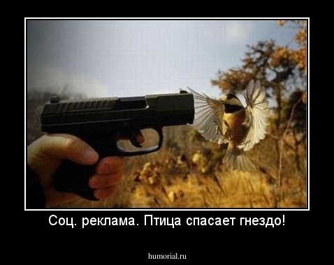 Соц. реклама. Птица спасает гнездо!