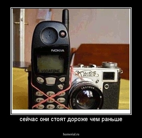 сейчас они стоят дороже чем раньше