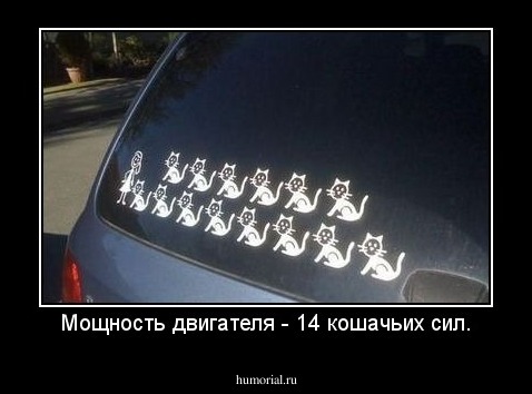 Мощность двигателя - 14 кошачьих сил.